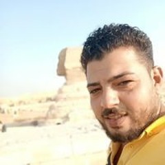 Alaa A Abdalshify