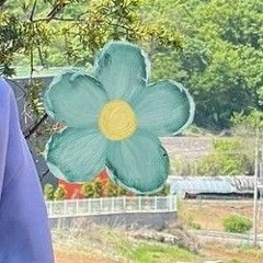 Bảo Thi
