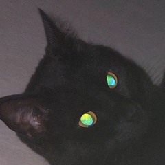 조얼유