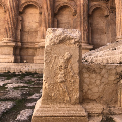 Chadi -      Taro’بoط.