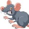 RAT