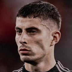 Luis Mendiolea