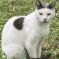 : ::] e r i k   r a d e r [:: :