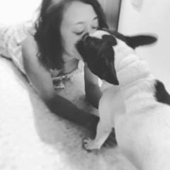 犬のhanaと 猫のミカンと飼い主meemi S Stream 犬のhanaと 猫のミカンと飼い主meemi S Stream