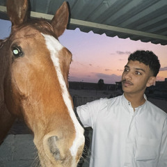 l3morrr.1
