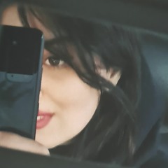 Sepideh Taghavi