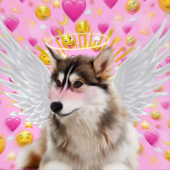 Anglepuppy18