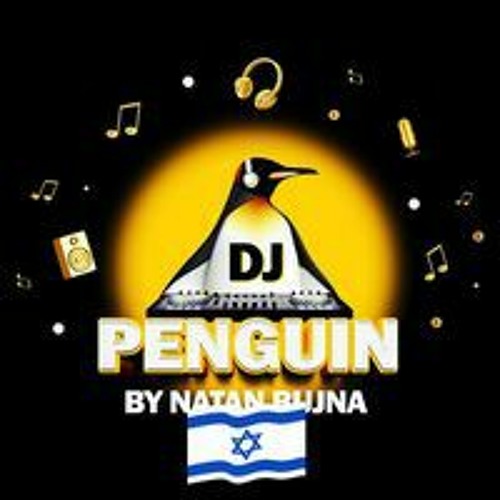 DjPenguin Natan Bujna’s avatar