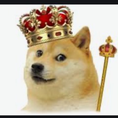 TheRealDogeBoss