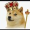 TheRealDogeBoss