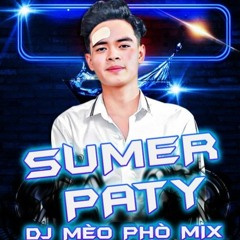 DJ MÈO PHÒ MIX