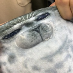 정석원