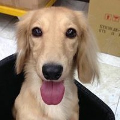 你的小怪獸