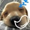 tnhi ´꒳`