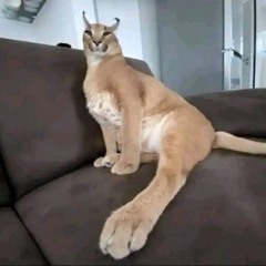 poprundelhd