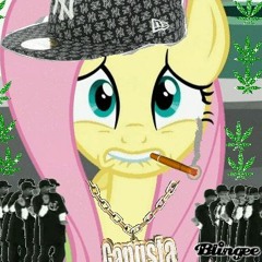 UNDRGRNDPONIES