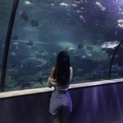 Minh Thu Hoang