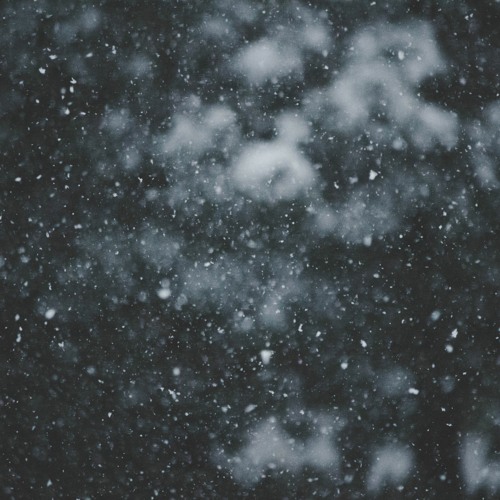 lil snow ✪’s avatar
