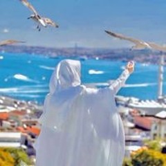 سجده عمرو