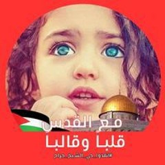 شمس الأمانى