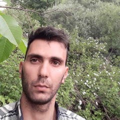 Mehrdad Malek