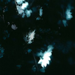 lost.empathy - your light (demo)