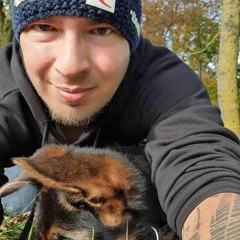 Wien is Ondas 16bit.mp3