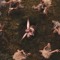 FAERIE_SOIRÈE2013