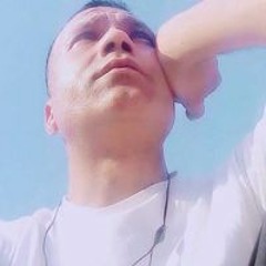 عباس عبد الحى