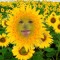 JAfjames05