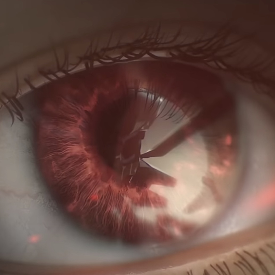 Ivuthief’s avatar