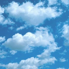 Вотинцев Никита