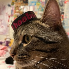 𝒻𝒾𝓃𝓁ℯ𝓎 🔪☎️