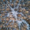 EffuSion