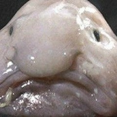 Blestama