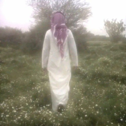 أحمد رشدي’s avatar