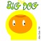 Big DOG