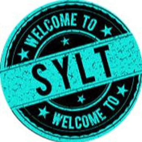 Sebastian Sylt’s avatar
