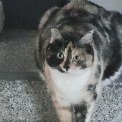 Carmen