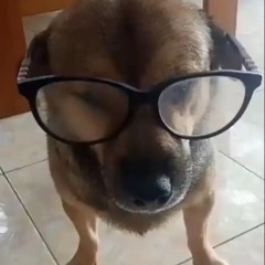 Iseeanbatocom