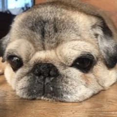 BASS BOOST Besomorph - Toxic (feat. Lunis)