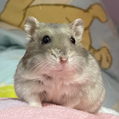 zzz_희