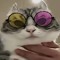Spamton‘s_Cat