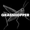 GRASSHOPPER