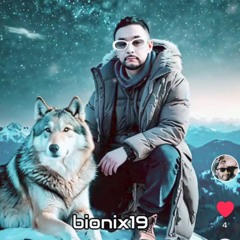 bioniX19
