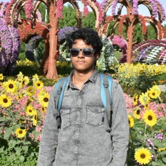 VAMSI