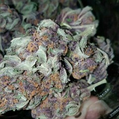 KushMane98