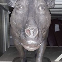 icarogaribaldi