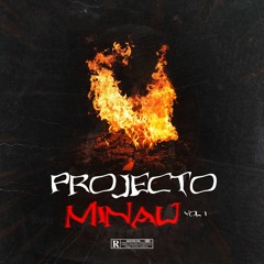 PROJECTO Minau