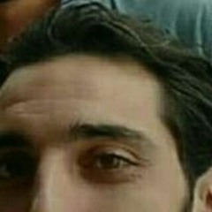 محمد عبد المالك الشولحى